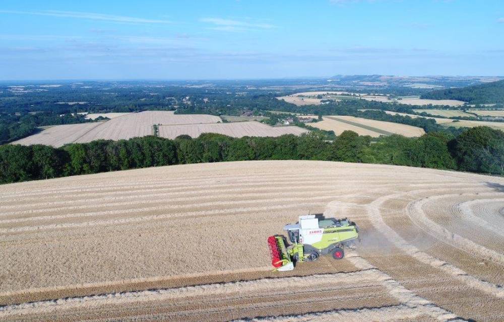 Upwaltham Malted Barley